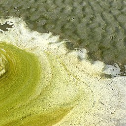 Tidal Foam, Tofino, British Columbia