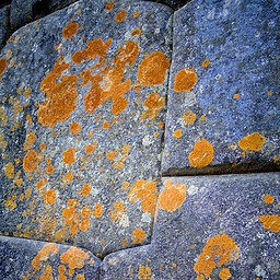 Inca Cut Stones with Lichen, Peru