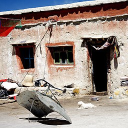 Doorway and White Dog, Western Tibet
