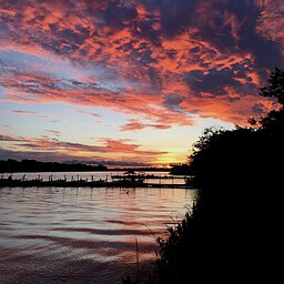 Cuiaba River, The Pantanal