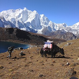 Makalu and Cholmolonzo, Tibet