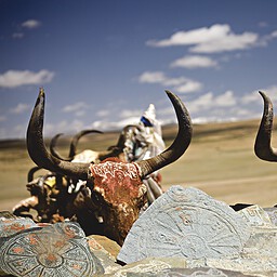 Yak Skulls and Mani Stones, Chiu Monastery, Tibet